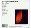 Gabriel Peter - Shaking The Three (CD)