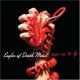 Eagles Of Death Metal – Heart On (CD)