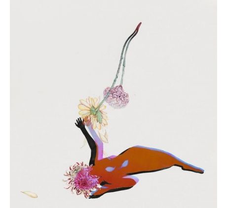 FUTURE ISLANDS - The Far Field / LP