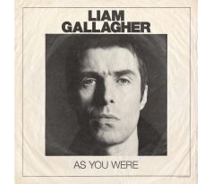 GALLAGHER LIAM - As You Were / LP