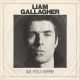GALLAGHER LIAM - As You Were / LP