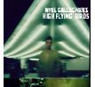 GALLAGHER´S NOEL - High Flying Birds (2012) / LP