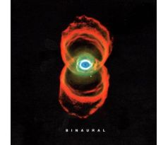 PEARL JAM - Binaural / 2LP