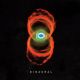 PEARL JAM - Binaural / 2LP