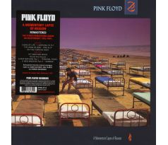 PINK FLOYD - Momentary Lapse Of Reason / LP