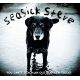 SEASICK Steve - You Can't Teach An Old Dog New Tricks / LP