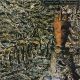 SIOUXSIE AND THE BANSHEES - Juju / LP