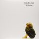 TEARS FOR FEARS - The Hurting / LP