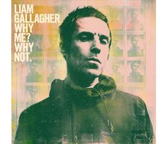 Gallagher Liam - Why Me? Why Not. / LP
