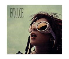 Lucie - Evolucie (CD) audio CD album