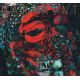Warpaint - The Fool (CD) I CDAQUARIUS:COM