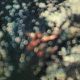 Pink Floyd - Obscured By Clouds (2011) (CD) I CDAQUARIUS:COM