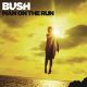 Bush - Man On The Run (Deluxe) (CD) I CDAQUARIUS:COM