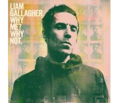 Gallagher Liam - Why Me? (CD)