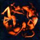 Everything Everything - A Fever Dream (CD) audio CD album