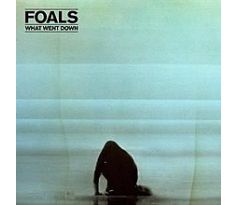 Foals - What Went Down (Deluxe) (CD+DVD) audio CD album