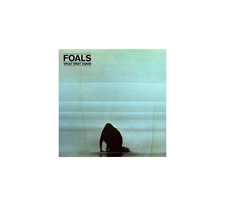 Foals - What Went Down (Deluxe) (CD+DVD) audio CD album