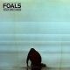 Foals - What Went Down (Deluxe) (CD+DVD) audio CD album