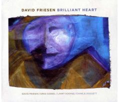 Friesen David - Brilliant Hear (CD) audio CD album