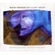Friesen David - Brilliant Hear (CD) audio CD album