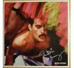 Mercury Freddie – Never Boring / LP Vinyl