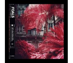 Foals - Everything Not Saved Will Be Lost (CD) audio CD album