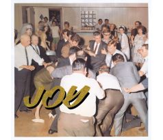 Idles - Joy As An Act Of Resistance (CD) audio CD album