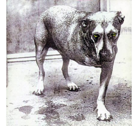 Alice In Chains - Alice In Chains (CD) audio CD album