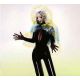 Bjork - Vulnicura (CD) audio CD album