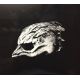 Legend Of The Seagullmen - Legend Of The Seagullmen (CD) audio CD album