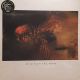 Cocteau Twins - Victorialands / LP vinyl album