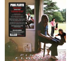 Pink Floyd - Ummagumma / 2LP vinyl album