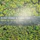 Prokop M & Framus Five - Mohlo By To Bejt Nebe / 2LP Vinyl album