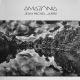Jarre J. M. – Amazonia / LP Vinyl album