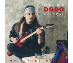 Doležal Dodo - My Little World / LP vinyl album