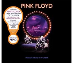 Pink Floyd - Delicate Sound Of Thunder (Live 2CD) audio CD album