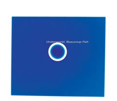 Underworld - Beaucoup Fish (Remastered 2016) (CD) audio CD album