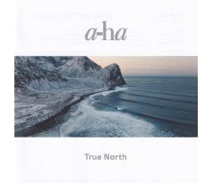 A-HA - True North /2022/ (CD) audio CD album