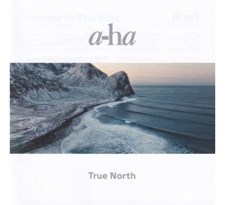 A-HA - True North /2022/ (CD) audio CD album