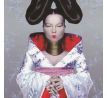 Bjork - Homogenic (CD) Audio CD album