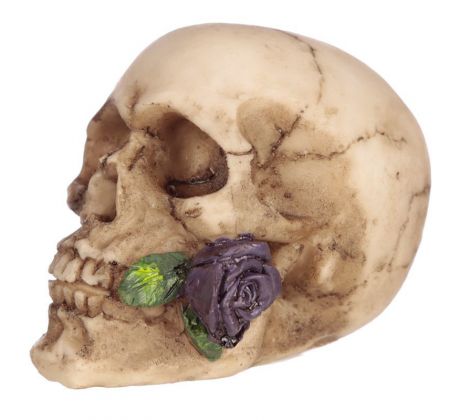 Lebka - Malá lebka s ružou - Purple (gothic) ozdobné gotické poháre, figúrky a lebky
