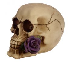 Lebka - s ružou - Purple (gothic) ozdobné gotické poháre, figúrky a lebky