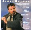 Galway James - The Wind Beneath My Wings (CD) Audio CD album