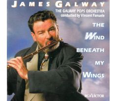 Galway James - The Wind Beneath My Wings (CD) Audio CD album