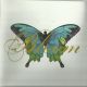 McLachlan Sarah - Bloom / Remix Album (CD) Audio CD album