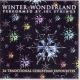 Winter Wonderland - Performed By 101 Strings (CD) Audio CD album