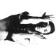 Prince And The Revolution - Parade (CD) Audio CD album