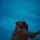 Leon - Apart (CD) Audio CD album