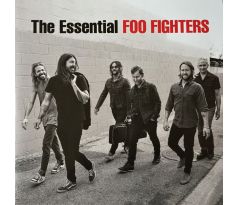 Foo Fighters - The Essential / 2LP Vinyl