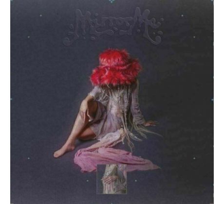 Tolstoys - Mirror Me / LP Vinyl LP album